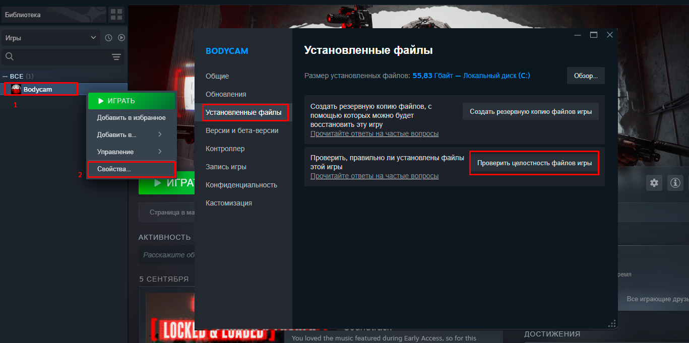 Проверка целостности файлов игры